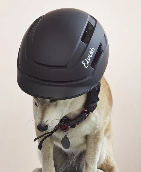 Casque - Vélotaffeur casque Elvish noir porté par un chien insert LED arrière offre une visibilité maximale pour les autres usagers. Pratique et rapide, fermeture et ouverture instantanément de la boucle d'attache grâce à son système aimanté. vue de haut porté par un chien
