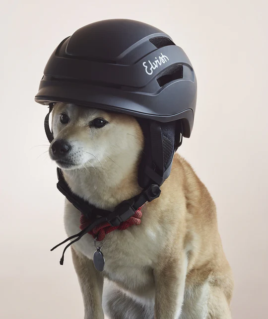 Casque - Vélotaffeur casque Elvish noir porté par un chien insert LED arrière offre une visibilité maximale pour les autres usagers. Pratique et rapide, fermeture et ouverture instantanément de la boucle d'attache grâce à son système aimanté. vue de face porté par un chien